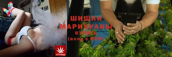 крисы Инта