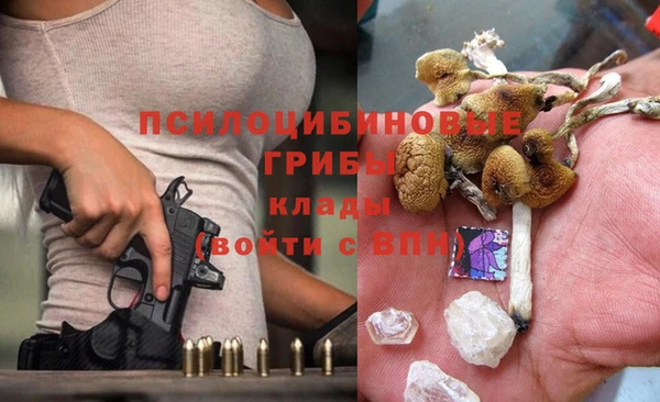 apvp Алексеевка