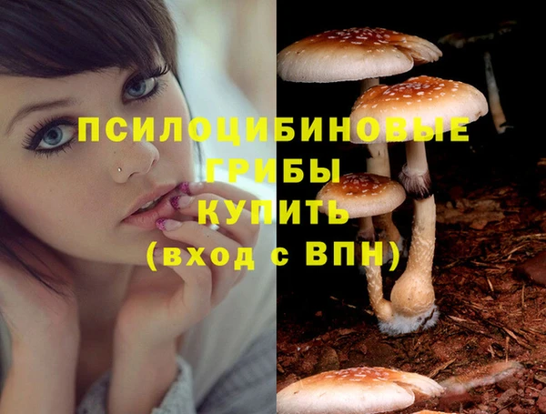 дживик Алзамай