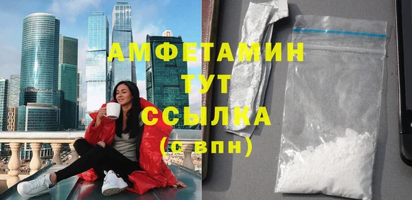 стаф Алексин