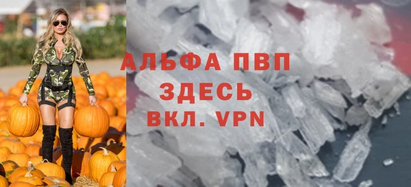 крисы Каменногорск
