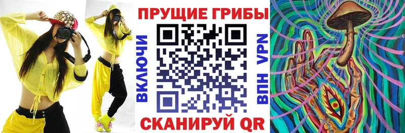 наркотики Починок Галлюциногенные грибы Psilocybine cubensis